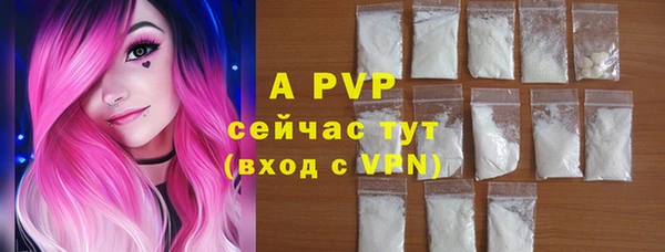 ПСИЛОЦИБИНОВЫЕ ГРИБЫ Иннополис