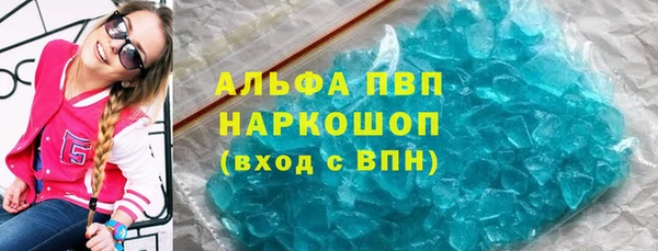 Альфа ПВП Инта