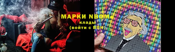 ПСИЛОЦИБИНОВЫЕ ГРИБЫ Иннополис