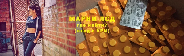 ПСИЛОЦИБИНОВЫЕ ГРИБЫ Иннополис